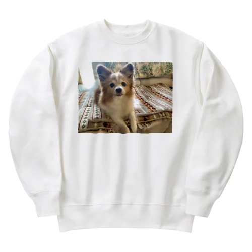 そらちゃん♡ Heavyweight Crew Neck Sweatshirt