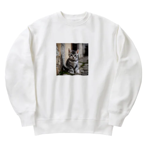 アメショーのお散歩 Heavyweight Crew Neck Sweatshirt