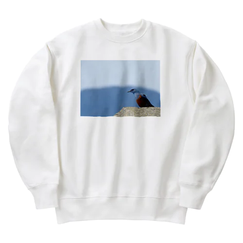 イソヒヨドリ Heavyweight Crew Neck Sweatshirt