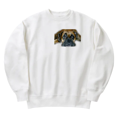 若さ溢れるボクサー犬 Heavyweight Crew Neck Sweatshirt