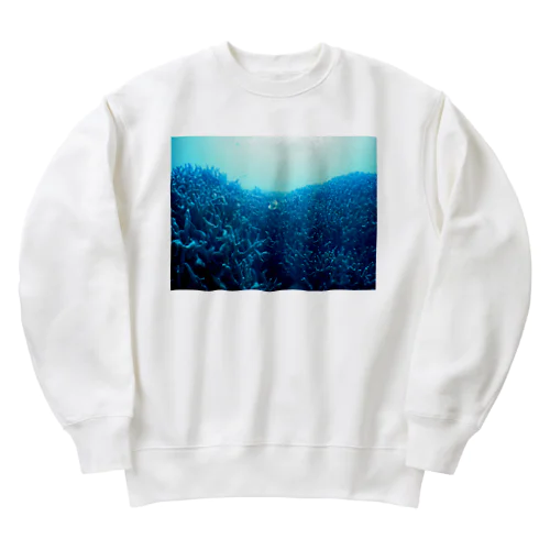 青い珊瑚礁 Heavyweight Crew Neck Sweatshirt