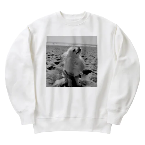 TONO-Coast Heavyweight Crew Neck Sweatshirt