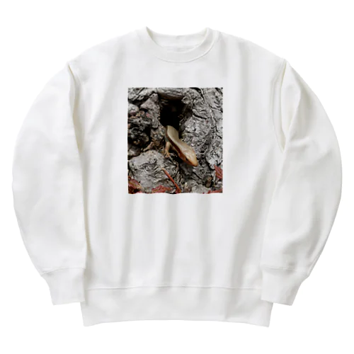 カナヘビの目覚め Heavyweight Crew Neck Sweatshirt