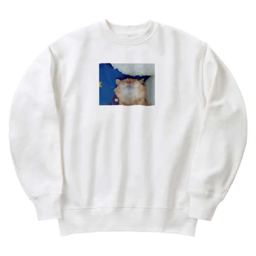 coco Heavyweight Crew Neck Sweatshirt