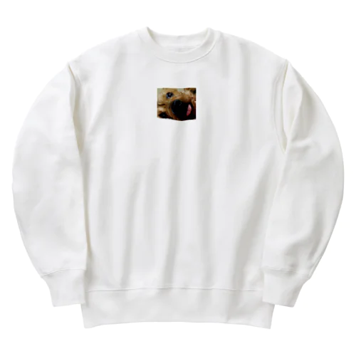 ヨークシャテリア　グッズ Heavyweight Crew Neck Sweatshirt