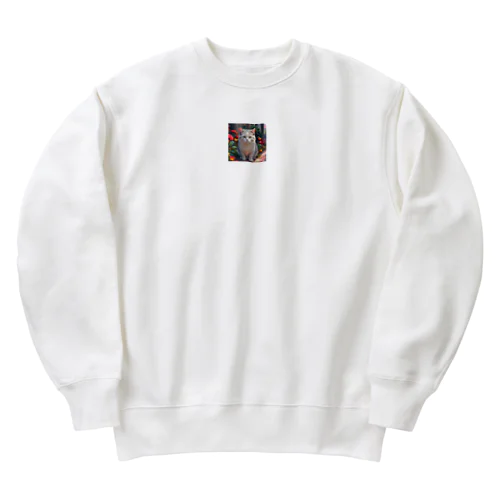 アイドルにはなれない？ Heavyweight Crew Neck Sweatshirt