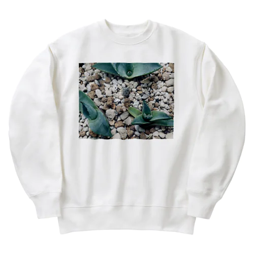 A.Americana ssp.Proto Heavyweight Crew Neck Sweatshirt