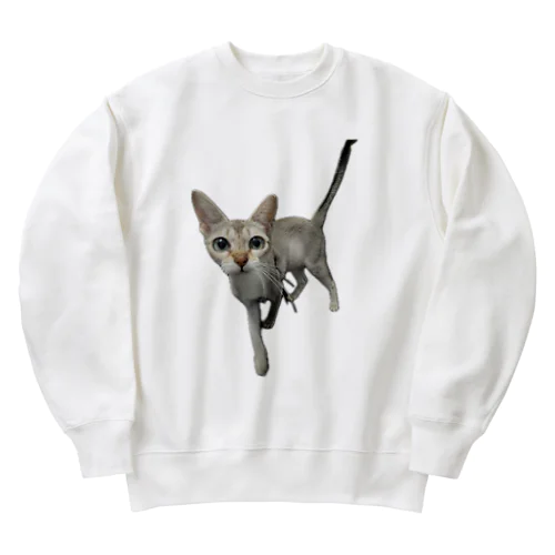 シンガプーラ Heavyweight Crew Neck Sweatshirt