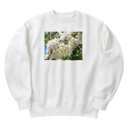 白桜 Heavyweight Crew Neck Sweatshirt