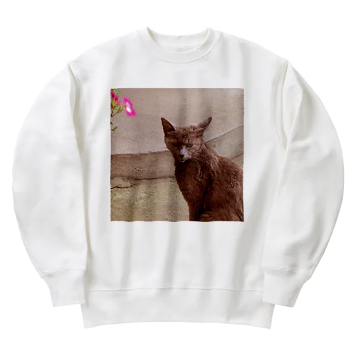 猫🐱 Heavyweight Crew Neck Sweatshirt