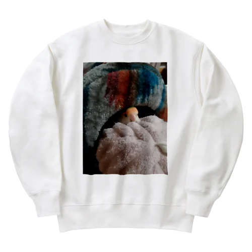 ひきこもりインコ Heavyweight Crew Neck Sweatshirt