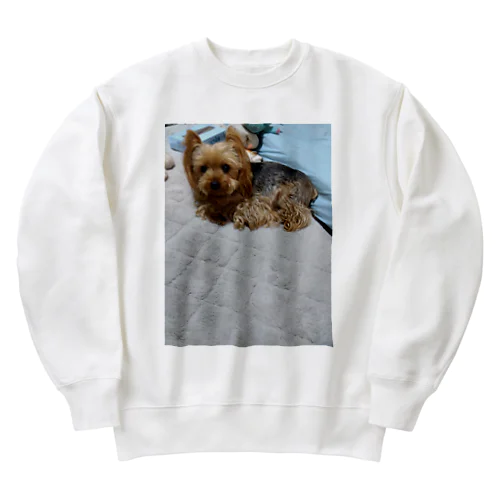 アレンくん Heavyweight Crew Neck Sweatshirt