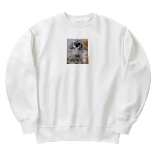 幸運のマロンくん Heavyweight Crew Neck Sweatshirt