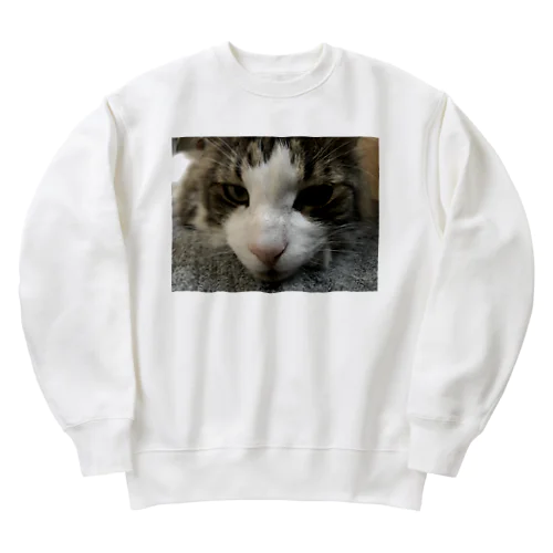 hrs-N1 Heavyweight Crew Neck Sweatshirt