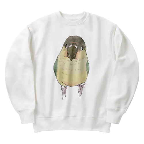 可愛いウロコメキシコインコちゃん【まめるりはことり】 Heavyweight Crew Neck Sweatshirt