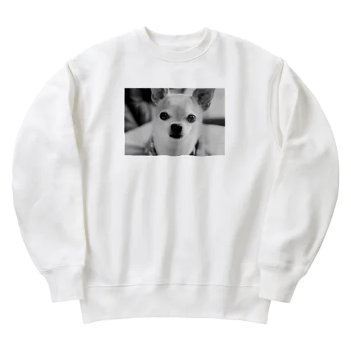 モノクロチワワ（おすまし） Heavyweight Crew Neck Sweatshirt