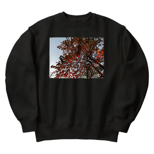 201910181619002　桜の紅葉 Heavyweight Crew Neck Sweatshirt