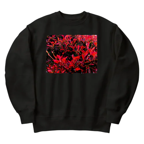 202311070847000　雨上がりの赤 Heavyweight Crew Neck Sweatshirt