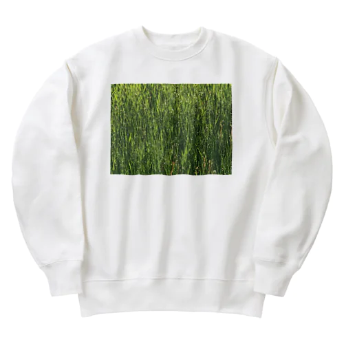 201905291758002　雨上がり Heavyweight Crew Neck Sweatshirt