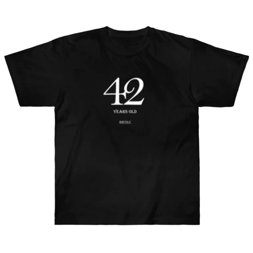 42歳専用T ヘビーウェイトTシャツ