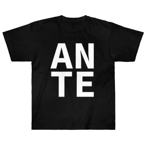 anT-BIG logo- ヘビーウェイトTシャツ