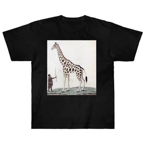 キリン（Giraffa Camelopardalis）、ロバート・ジェイコブ・ゴードン、1779年 ヘビーウェイトTシャツ