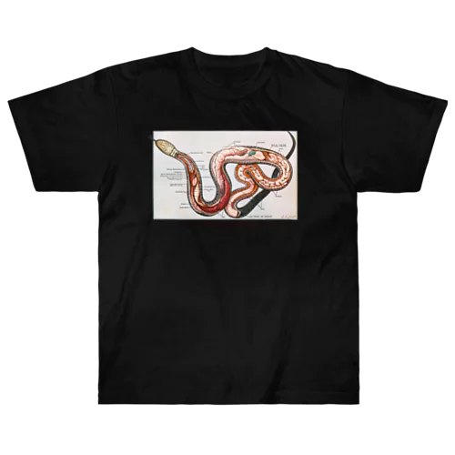 ヘビの解剖 ヘビーウェイトTシャツ