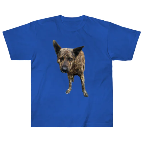 愛犬注意 ヘビーウェイトTシャツ