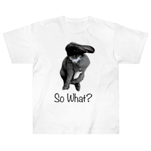 So What? Heavyweight T-Shirt