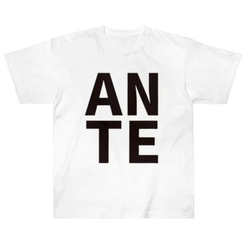 anT-BIG LOGO- ヘビーウェイトTシャツ