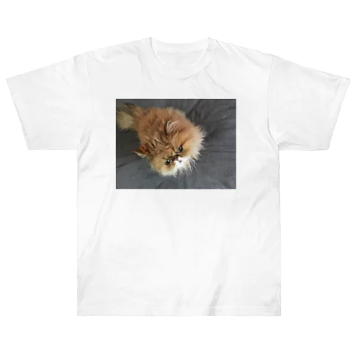 ぶちゃ猫・茶々丸 Heavyweight T-Shirt