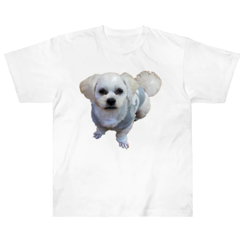 イケメン犬 Heavyweight T-Shirt