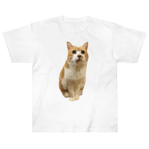 猫ちゃん ヘビーウェイトTシャツ