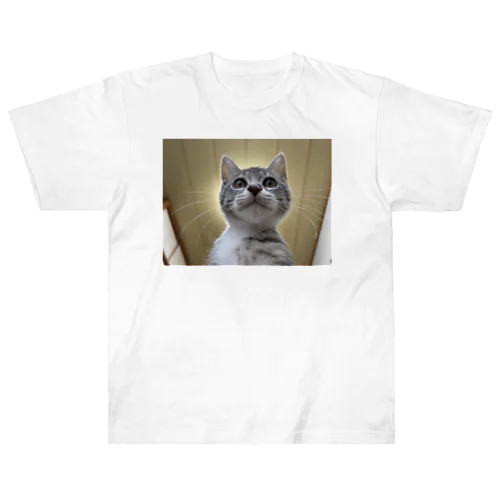 保護猫ベジータ　神 Heavyweight T-Shirt