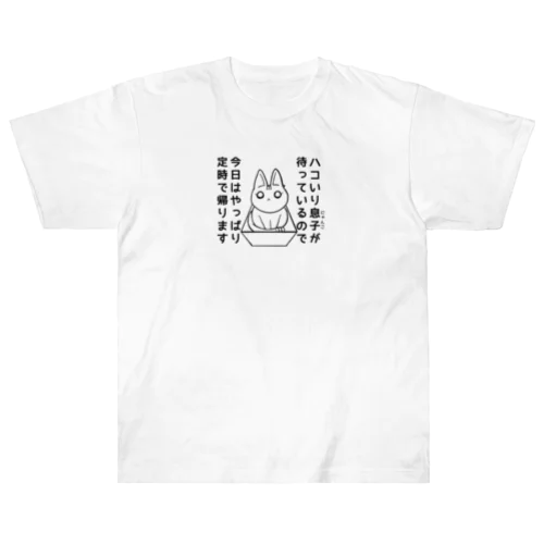 ハコ入りにゃんこ Heavyweight T-Shirt