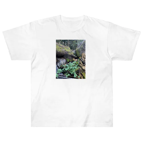 多様性の森 Heavyweight T-Shirt