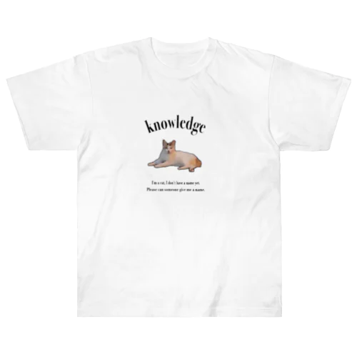 I don't have a name yet. Heavyweight T-Shirt