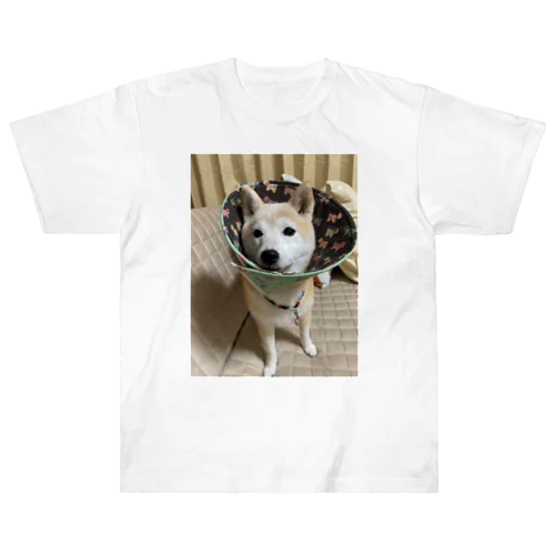 エリザベスカラー柴犬 ヘビーウェイトTシャツ