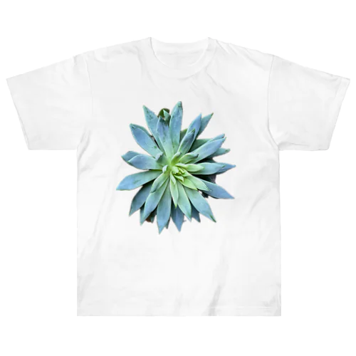 花のような多肉植物 Heavyweight T-Shirt