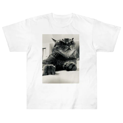 しんやねこ Heavyweight T-Shirt