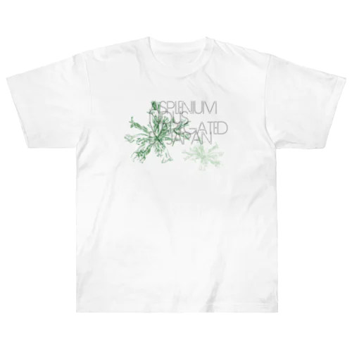 アスプレニウム ニダス バリエガータ Asplenium nidus variegated ex Japan ヘビーウェイトTシャツ