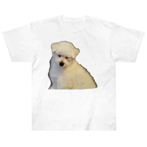 SLEEP DOG Heavyweight T-Shirt