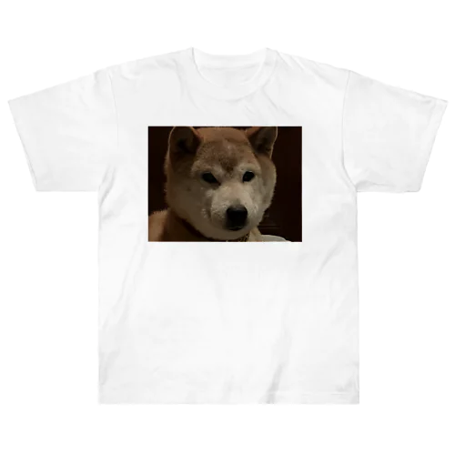 イッヌ🐶 ヘビーウェイトTシャツ