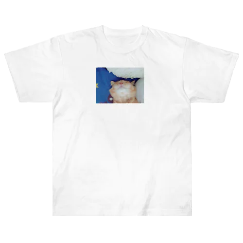 coco Heavyweight T-Shirt