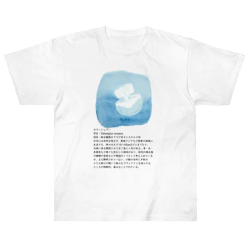 カラージェリー　図鑑ver.たてT ヘビーウェイトTシャツ