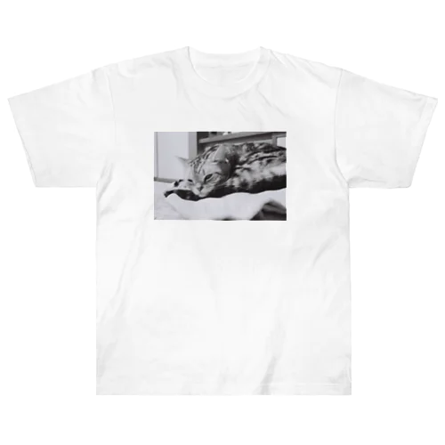 Peter of the moment Heavyweight T-Shirt