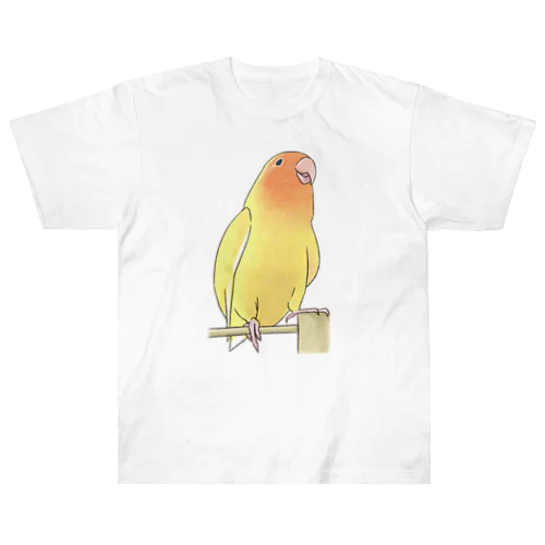 得意げ可愛い　コザクラインコちゃん【まめるりはことり】 ヘビーウェイトTシャツ