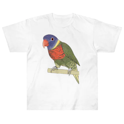 色合いが綺麗なゴシキセイガイインコちゃん【まめるりはことり】 Heavyweight T-Shirt