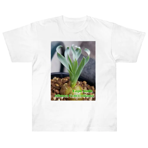 Albuca concordiana アルブカ コンコルディアナ ヘビーウェイトTシャツ