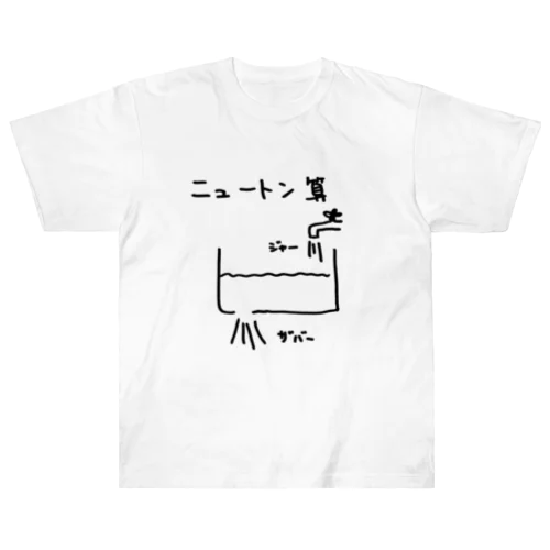 ニュートン算 Heavyweight T-Shirt